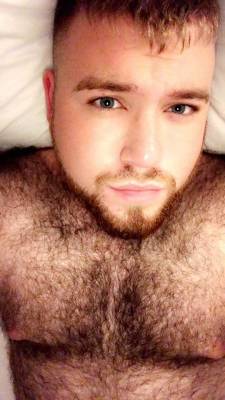 hairychest-nuts: Is this cub blonde, ginger or what? WOOF!