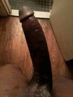 PRAISE BIG BLACK PENIS! mcaval12:  Follow my Blog:  http://mcaval12.tumblr.com/  Over 10,000 pics and vids of Beautiful Black Dick submit your pic here   http://mcaval12.tumblr.com/submit Over 12,000 followers.   Reblog me ! 