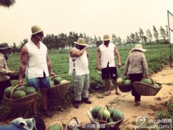 trainandgain:  Grown Ass Granny Strength &ldquo;World’s Strongest Man Competition 2013 organized in Zhengzhou, Henan province. Host, Xiaoyan: Following a few competitors to Zhongmu County to experience the harvesting of watermelons where the competitors
