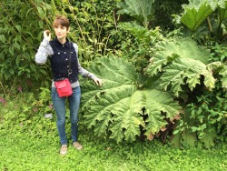 plantlette:  I’m frowning (as usual) but look at this big leaf!