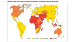 longtimesurvivor:  Prevalence of male circumcision by country, from:World Health Organization, Male circumcision: global trends and determinants of prevalence, safety and acceptability, 2007.WHO estimates that 33% of the male population of the world is
