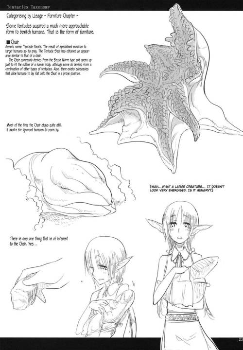 nephlytotl:  gateaugrimoire:  Tentacles Taxonomy by Unknown  These look like fun for a sexy lady :P 