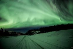 the-wolf-and-moon:  Alaskan Green Highway