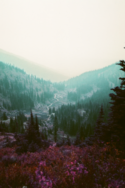 expressions-of-nature:  Whitefish, Montana by Dandelion Gum