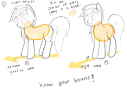 braddo-epon:  Some guides I made for a friend of mine a while back. I’m not exactly the final word on pony proportions but this how I do it.  owo! Usefulness~