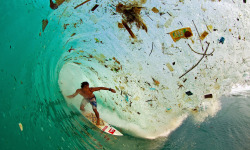 Surfing between garbage in Java, Indonesia.