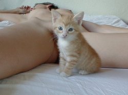 strokemypuss:  Submitted by kittenkata:  Cute pussy likes petting!   &ldquo;Show me your pussy!&rdquo; :-) http://strokemypuss.tumblr.com  Visit my archives at:-  http://strokemypuss.tumblr.com/archive To submit a sexy pic to appear on my blog for over