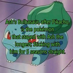 bulbasaur-propaganda: Some facts you need to know about the greatest anime character of all time!