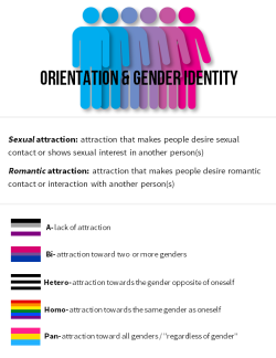 mmikan:  Here’s information about sexual/romantic orientations and gender identities that I put together! I..I don’t do graphic design, so this isn’t that great. Also, I’m very sorry if I missed your orientation or identity or got some information