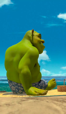 dayanafrias01:  Shrek &amp; FionaShrek 2 (2004) | Movie 