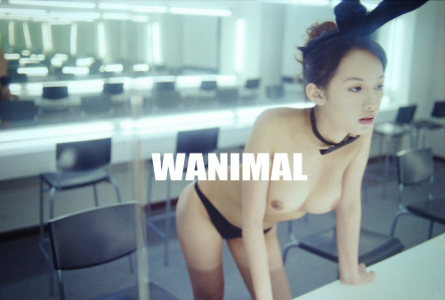 girlsinagrove:  from Wanimal The girl in the mirror / MISS RABBIT 