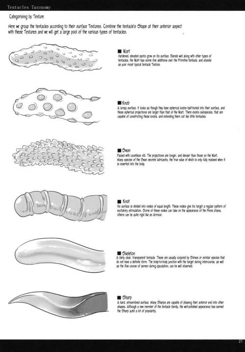 nephlytotl:  gateaugrimoire:  Tentacles Taxonomy by Unknown  These look like fun for a sexy lady :P 