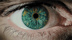 Bel-Culetto:  “The Pupil Of Your Eye Expands Up To 45% When You Look At Someone