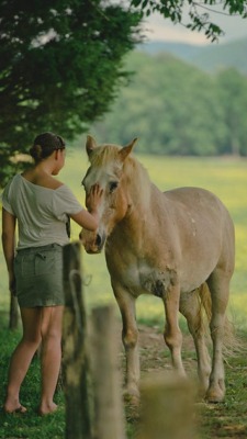 Horse Talk  a quiet moment -jerrysEYES
