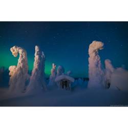 Sentinels of a Northern Sky #nasa #apod #snow #trees #snowtrees #outhouse #aurora #stars #satellites #finnishlapland #finland #space #science #astronomy