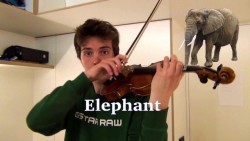 laughingsquid:  Musician Skillfully Recreates the Sounds of Birds, Insects and Mammals on His Violin
