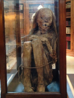   Carmo Convent &amp; Archaeological Museum in Lisbon. This mummy belongs to a young girl found in Peru in the 16th century.