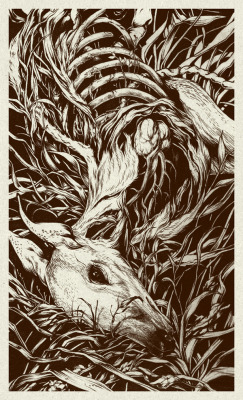 artchipel:  Teagan White | on Tumblr - Doe eyed, deer illustration. Graphite on paper. [Tumblr Monday with septagonstudios]