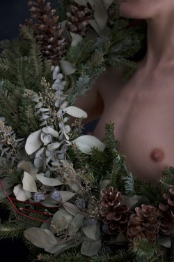 brookelynne:  winter wreath | self-portraits •✧{ more on patreon }✧•  patreon.com/brookelynne