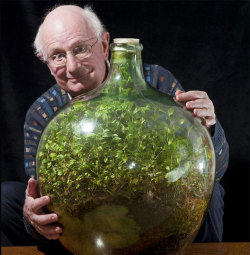 ohscience:  This terrarium hasn’t been opened in 40 years! It is completely self-sufficient—the bacteria in the compost breaks down dead leaves to give the plants the carbon dioxide they need, and the moisture in the air condenses on the glass and