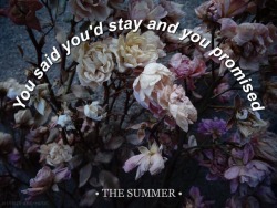 lyrics-and-music:The Summer // Citizen