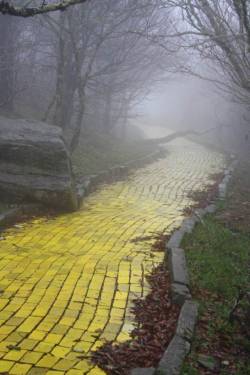 song-tra-b0ng:  stunningpicture:  Eerie photo of the Yellow Brick Road from an abandoned Wizard of Oz theme park in North Carolina  Why would a Wizard Of Oz theme park become abandoned tho 