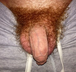 realmenfullbush:  big77boi - user submission! So hot. I love seeing hair spill out around an open fly or over the waistband of underwear. You can see how sweaty this dick is around all that matted hair. Making my mouth water! 