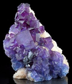 ggeology:Bi-coloured Fluorite cubes with
