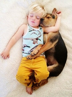 silenzicheuccidono:  avessiunaltromodo:  Ogni giorno dopo essersi sfrenati i due cuccioli dormono insieme, un book fotografico realizzato dalla mamma ! :)  Oddio ma sono l’amore 