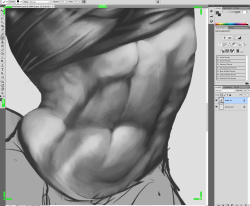 wip abs