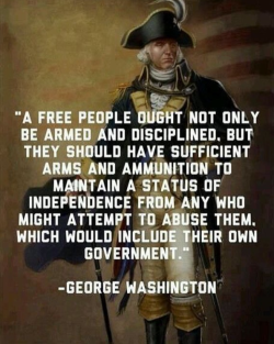 http://www.politifact.com/truth-o-meter/statements/2015/feb/20/facebook-posts/did-george-washington-offer-support-individual-gun/I think your George Washington quote may be in error.  I suggest you check the above link and go from there.A good idea is