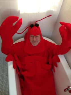 fuckasslol:  tenaflyviper:  If you can’t find a place on your blog for Patrick Stewart in a bathtub dressed like a lobster, then your blog probably doesn’t deserve such majesty anyway.  Make it so.