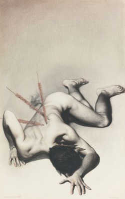   Claudio Bravo (1936-2011) ‘Matador’, charcoal and pastel on paper  