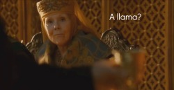 daenerysbeauty: Game of Thrones AU: in which Joffrey is transformed into a llama and forced to travel cross-kingdom, all whilst learning the true meaning of humility and friendship