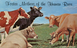 griftomatic:  Foster Mothers Of The Human Race, The Five Dairy