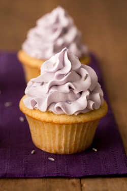 Foodopia:  Lavender Cupcakes With Vanilla Bean Frosting: Recipe Here 