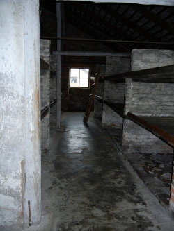 erininprague:  The barrack-style halls in which everyone brought to Auschwitz was kept.  They were supposed to house 42 horses, but instead were made to hold hundreds of people.  Sometimes, if you were fortunate, your wooden plank bed would have some