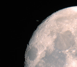 wonders-of-the-cosmos:    Saturn Through the Moon. Credit: Luis Rojas M.