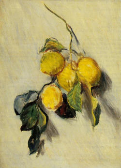 artist-monet:  Branch of Lemons, 1883, Claude Monet