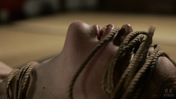 tied-yuno: Touch of rope- new weekly videos for ma patrons=) Watch all photos | Watch all gifs  | Watch all weekly videos | Support more projects  RnK Studio: patreon.com/yuno 