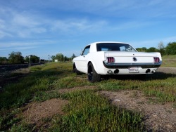 66mustang-project:  Bought some used tires yesterday to test the fitment of the new wheels. There’s definitely room to go wider in the rear so once these 255/40 Bridgestone Potenzas in the back are spent I’ll try for a 275/40. Also, 275/40s should