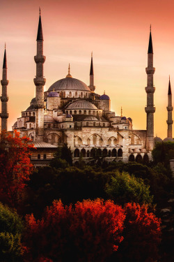 italian-luxury:  Beautiful Blue Mosque | Italian-Luxury | Instagram 
