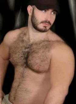 hairy-chests:  /