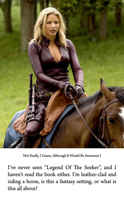 I’ve never seem “Legend Of The Seeker”, and I haven’t read the book either. All I know is that it has leather-clad women. My imagination is filling out the blanks.
