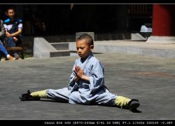 feiyuedeltamid:  feiyueloplainshoes: Shaolin