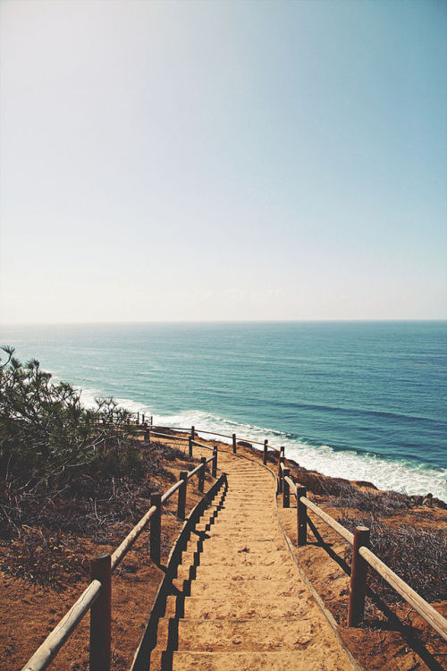d-dirtymind:  travelingcolors:  Torrey Pines, San Diego | California (by Valerie Manne | On Tumblr)  http://d-dirtymind.tumblr.com