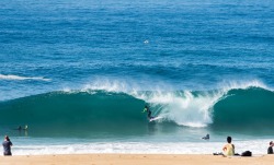 Surf4Living:  Alex Gray By Pedro Mestre