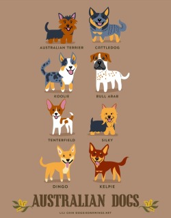 ivyarchive:  mymodernmet:  Illustrator Lili Chin’s adorable series Dogs of the World illustrates 192 breeds of dogs grouped according to geographical origin.  More:              