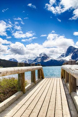 expressions-of-nature:  Over the Bridge at Bow Lake by: Jason Bourgeois