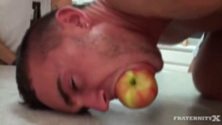 biggayrob-bdsm:  humiliationbear:  He hated the fucking - but he hated the apple even more  Tip of the Day: If you don’t have a ball gag handy, a piece of fruit - like an apple or an orange - does a good job of keeping the bitch quiet while you’re
